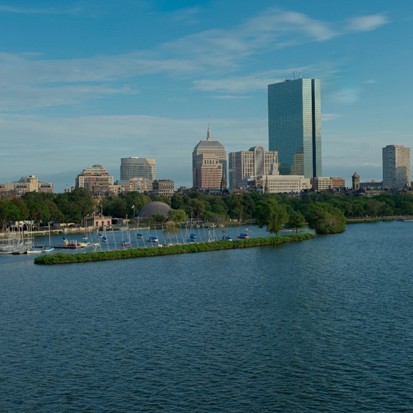 Meet your Posher, David - Picture 1 of 1